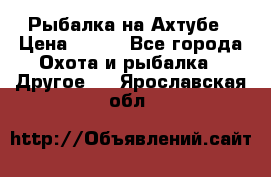 Рыбалка на Ахтубе › Цена ­ 500 - Все города Охота и рыбалка » Другое   . Ярославская обл.